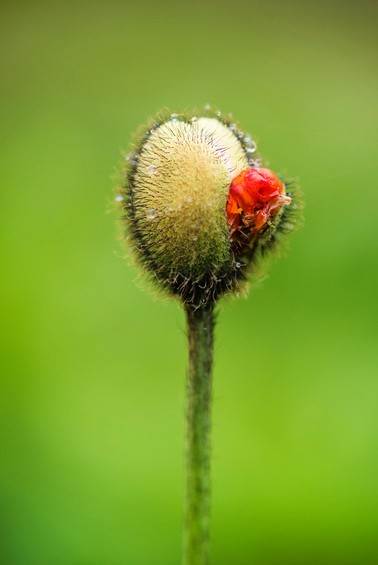 The Overlooked Risks of LEEP: What Women Aren’t Being Told About Sexual Side Effects