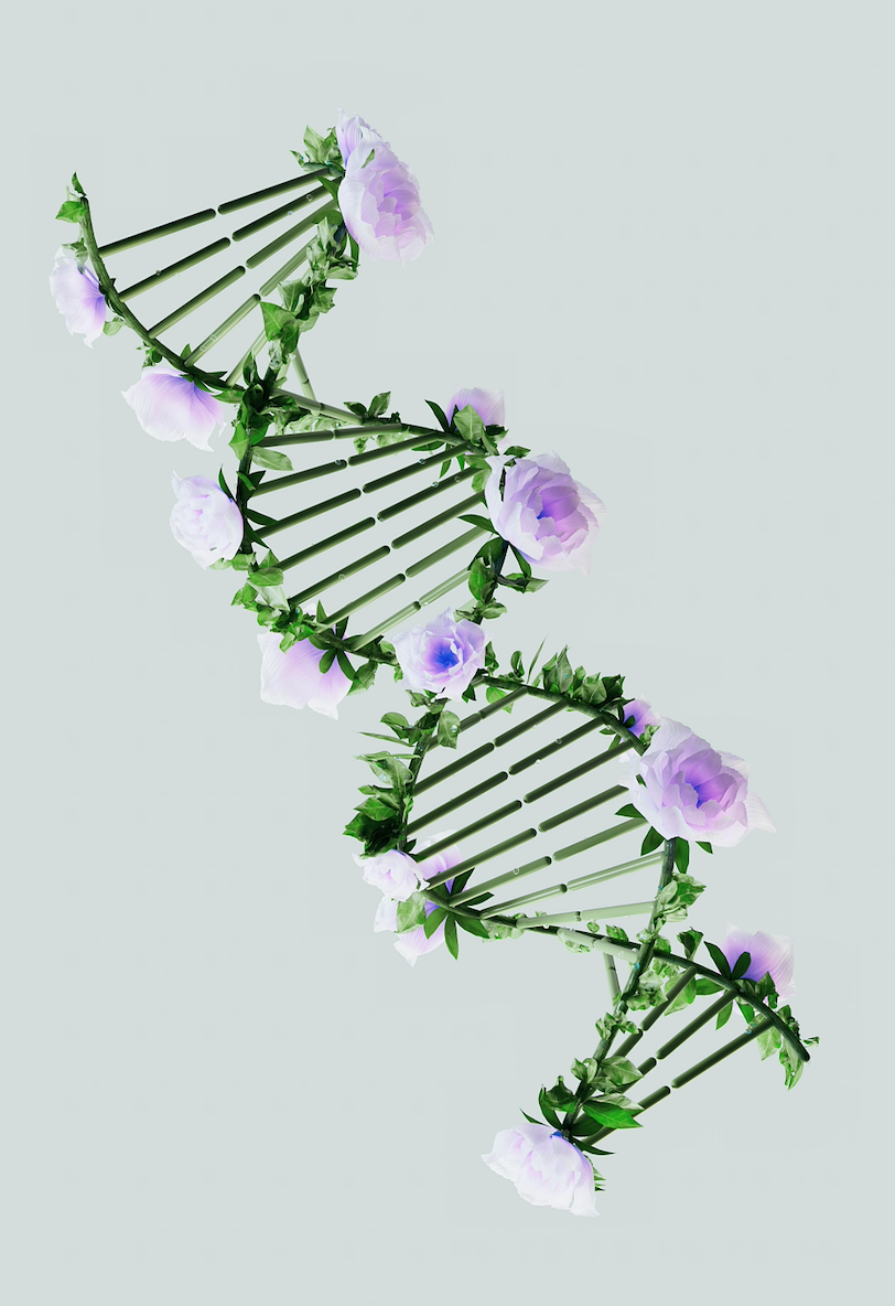 What Your Genes Might Say About Your Cervical Cancer Risk