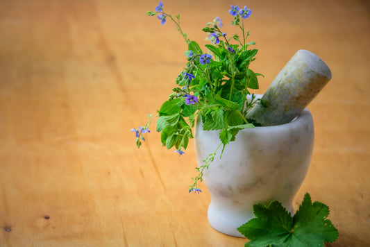 The Inflammation Theory of Everything” — What It Means for Your Cervix